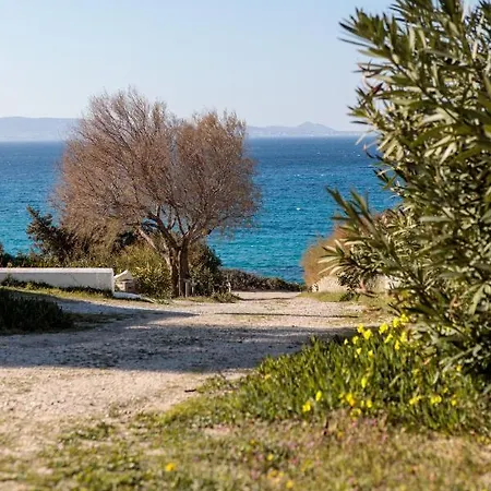 Bougain-villa Orkos Naxos